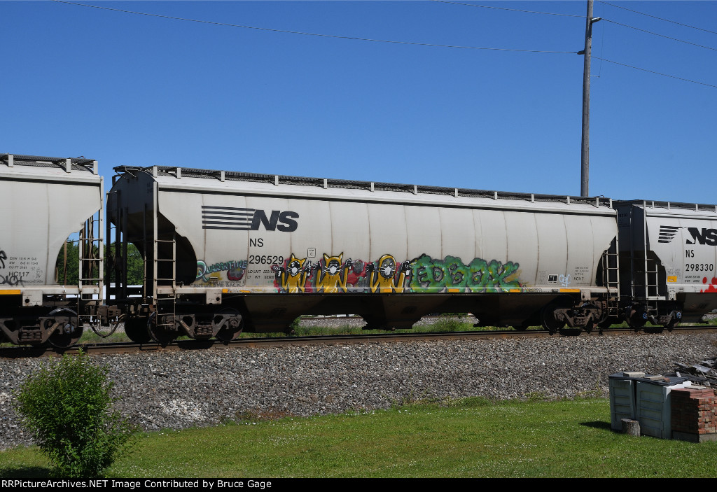 NS 296529